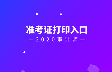 2020審計師準(zhǔn)考證打印入口