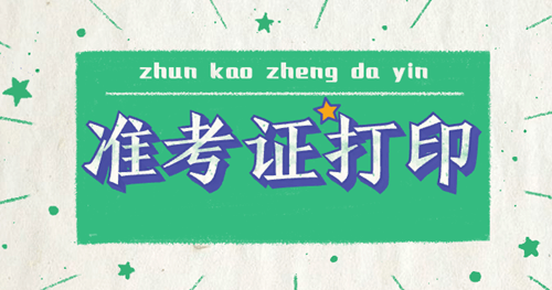 2020年審計師準(zhǔn)考證打印