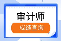 初級(jí)審計(jì)師成績(jī)查詢