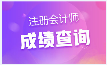 江蘇連云港注冊(cè)會(huì)計(jì)師考試成績(jī)查詢