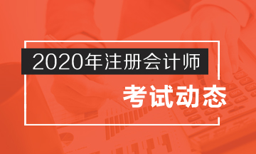 2020年cpa的考試時間公布啦！