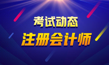 海南2020年注會考試是機(jī)考嗎？