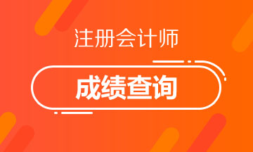 甘肅蘭州注冊會計師考試成績查詢