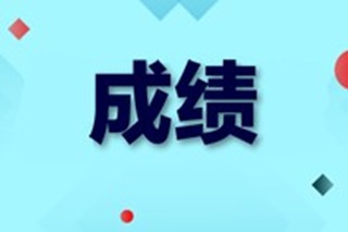 中級經(jīng)濟師成績