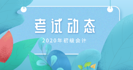 2020年初級(jí)會(huì)計(jì)考什么你知道嗎？