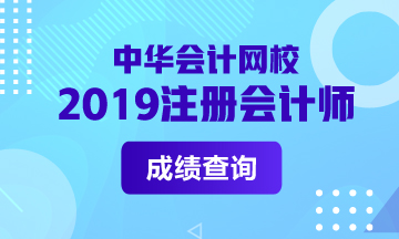 2019年河南cpa成績查詢