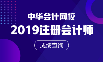 注會(huì)專業(yè)階段廣西北海成績(jī)查詢