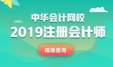 河南2019年cpa成績(jī)查詢?nèi)肟? suffix=