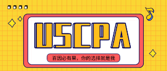 【USCPA】會計人常說的“四大”指的是什么？ (2)