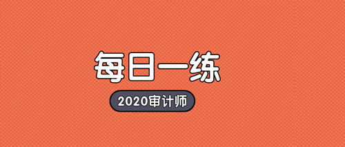 2020初級(jí)審計(jì)師備考