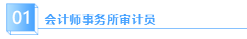 會計師事務(wù)所審計員