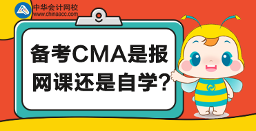 CMA備考該如何學習呢？報網(wǎng)課or自學呢？