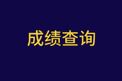 2020中級審計(jì)師成績查詢