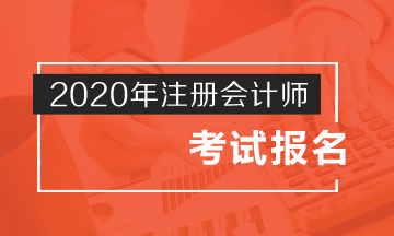 南京2020年注會報名入口是哪？