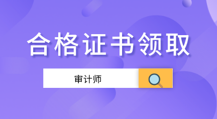 2019年審計(jì)師合格證書(shū)辦理信息匯總