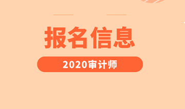 2020審計師報名信息