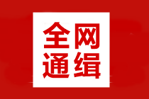 全網(wǎng)通緝：高效/無憂定制班學(xué)員 你們老師喊你打卡學(xué)習(xí)啦！