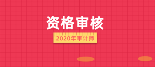 2020年審計師考試資格審核信息匯總