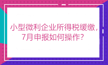 小型微利企業(yè)所得稅緩繳，7月申報(bào)如何操作？看這里！