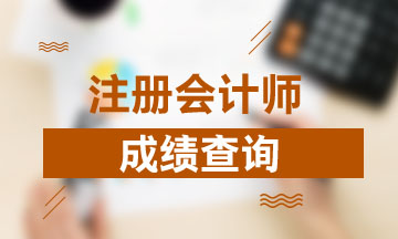 2020年廣西注冊會計(jì)師考試成績查詢時間 