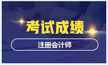 海南2020CPA成績(jī)查詢時(shí)間