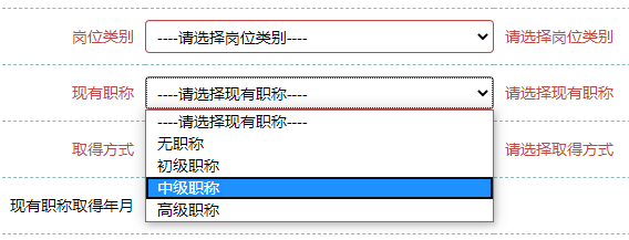 中級(jí)職稱