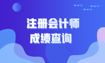 遼源2020年注會(huì)成績查詢時(shí)間