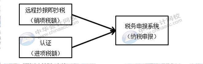 每月征期該怎么抄報(bào)呢？步驟來了~