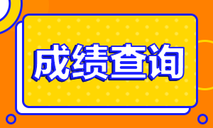 上海2020CPA考試成績(jī)查詢相關(guān)信息一覽