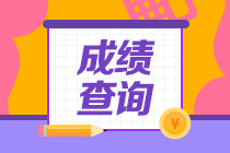 陜西2020年審計師成績查詢網(wǎng)址是哪個？