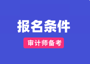 山東2020國際審計師報考條件及時間？