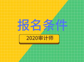 2020年國際內(nèi)部審計師報考條件都有什么要求？