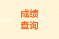 2020年西藏山南市中級成績查詢?nèi)肟陂_通了嗎？