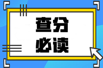 2020中級會計職稱查分總攻略：查分前中后都得注意點啥？