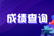 西寧11月基金從業(yè)資格考試成績查詢官網(wǎng)