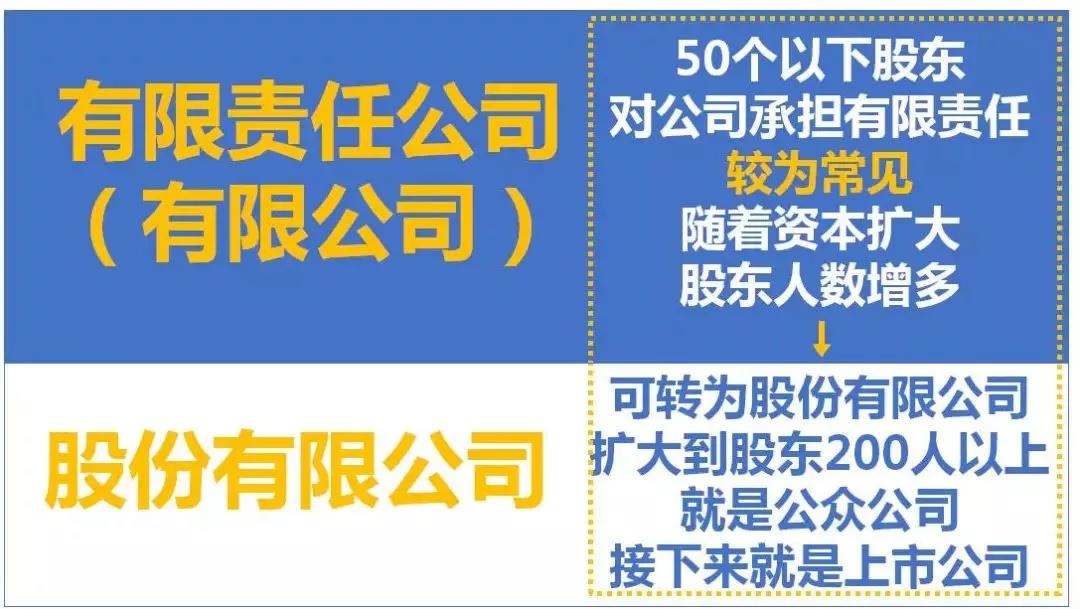 最全總結(jié)！公司、個(gè)體戶、分公司、子公司、有限公司有啥區(qū)別？