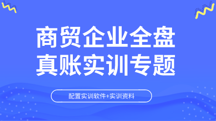 工業(yè)企業(yè)全盤賬務(wù)處理及納稅申報(bào)（含軟件+教材）