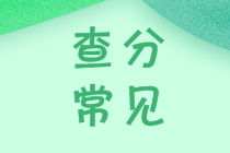 安徽2020會(huì)計(jì)中級(jí)成績(jī)查詢?nèi)肟诠倬W(wǎng)開通了嗎？