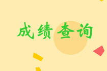 四川眉山中級成績查詢2020入口在哪里？