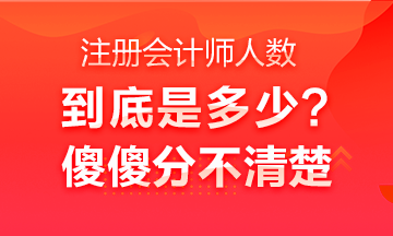 中國注冊會計師行業(yè)全國從業(yè)人員超40萬人？不是二十多萬嗎？