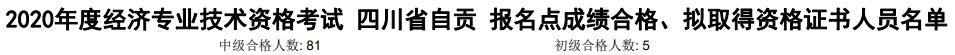 自貢2020年初中級經(jīng)濟師考試合格人數(shù)