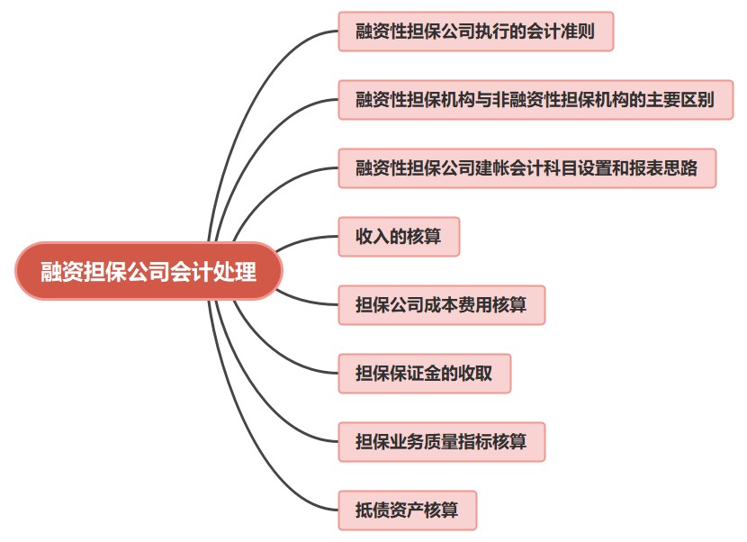 金融公司財(cái)務(wù)人員必看！融資擔(dān)保公司會(huì)計(jì)處理