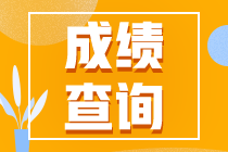 安徽省2021年初級會計考試成績啥時候能查到？