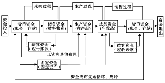 圖片7