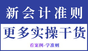 新收入準則下，價格變動業(yè)務中應用的案例