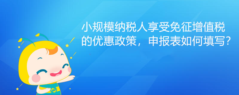 小規(guī)模納稅人享受免征增值稅的優(yōu)惠政策，申報表如何填寫？