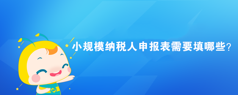 小規(guī)模納稅人申報(bào)表需要填哪些？