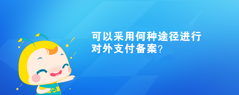 可以采用何種途徑進(jìn)行對(duì)外支付備案？