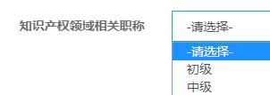 知識產權領域相關職稱