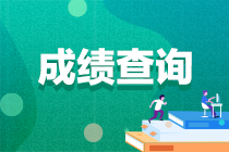 2021高級(jí)經(jīng)濟(jì)師成績查詢